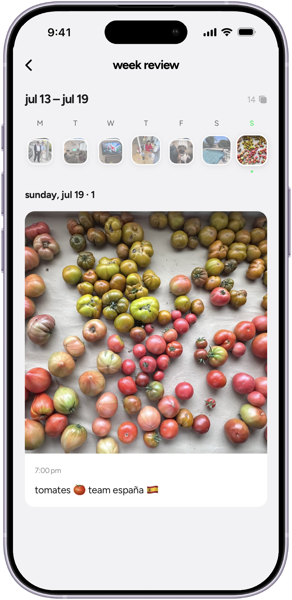 the week review screen, seven days of tings with sunday open